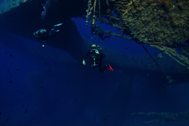 Explora el Mediterráneo