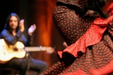 Tour di Madrid: degustazione di vini e lezione di flamenco