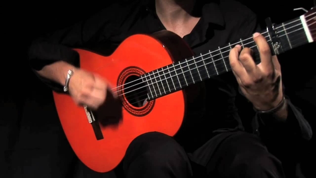 Disfrutando del espectaculo flamenco