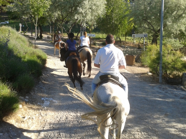 Paseando a caballo por los caminos