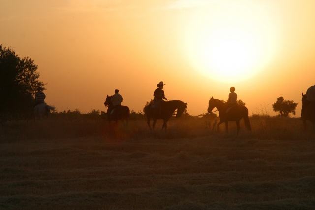  Passeggiata a cavallo al tramonto 