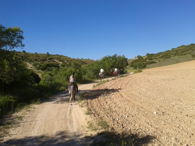  Passeggiata a cavallo in campagna 