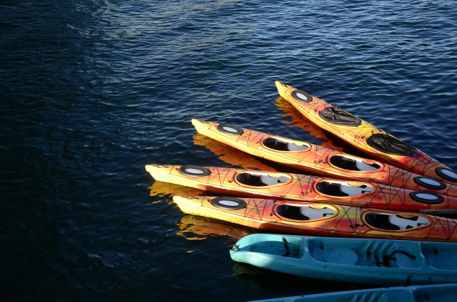 Canoe tour 