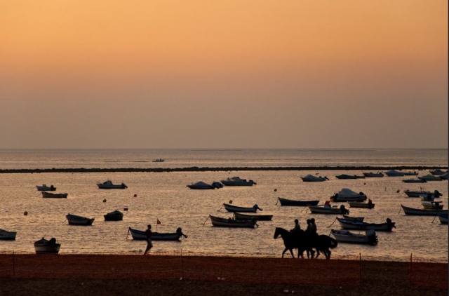 Carreras de caballos al atardecer