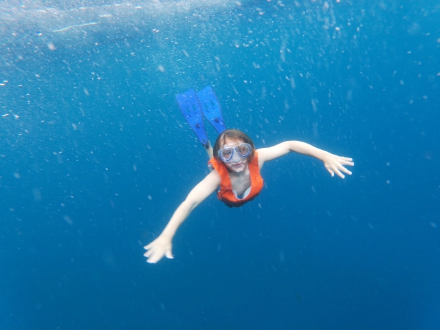  Practice snorkeling in Arona 