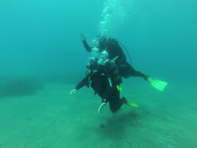  Get to know the Aguadulce seabed
