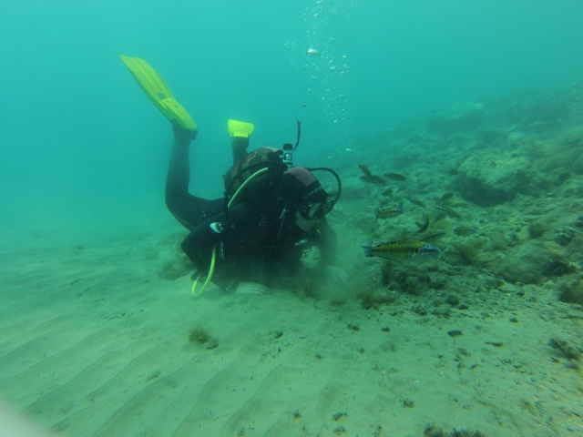 Practice diving on the coast of Almería 