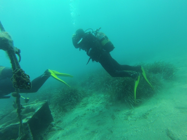  Specialty diving in Almería 