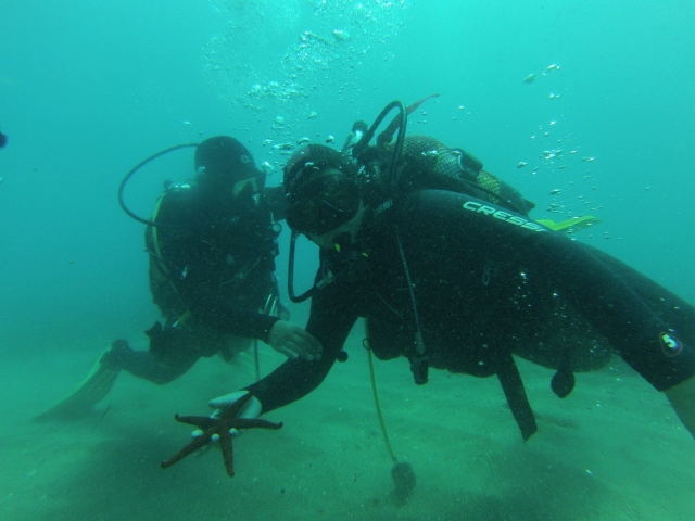  Equipped with diving equipment in Almería 