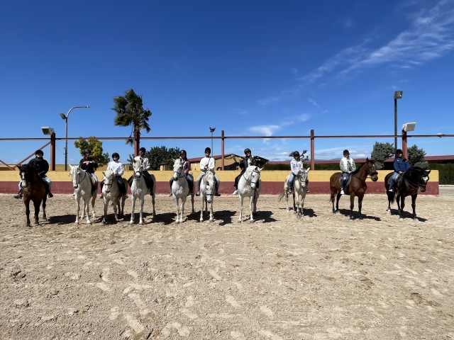  com cavalos