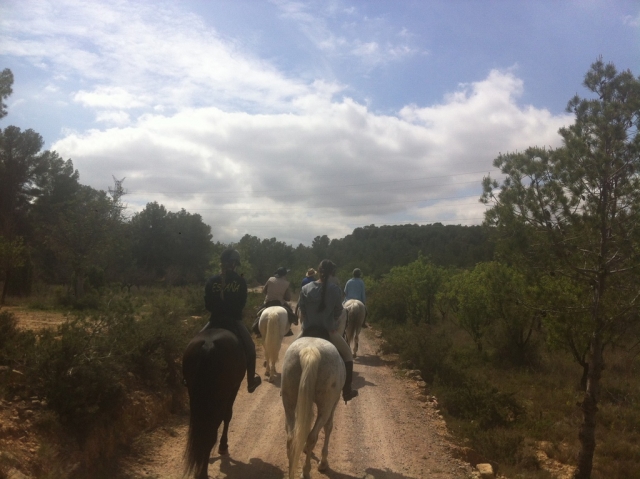 Paseo por el campo