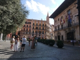 Guided tour for families in Palma