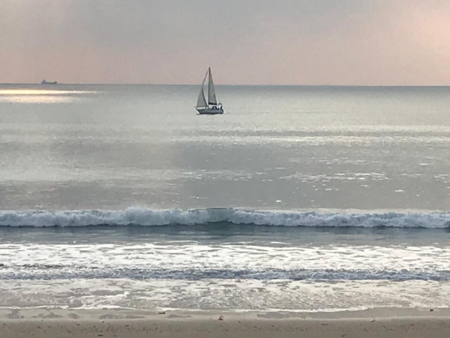  from the shore 