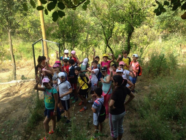  Activities for the little ones 