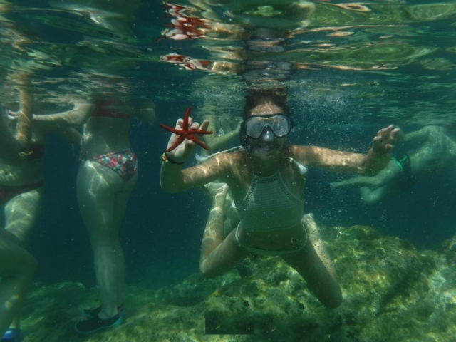 snorkeling