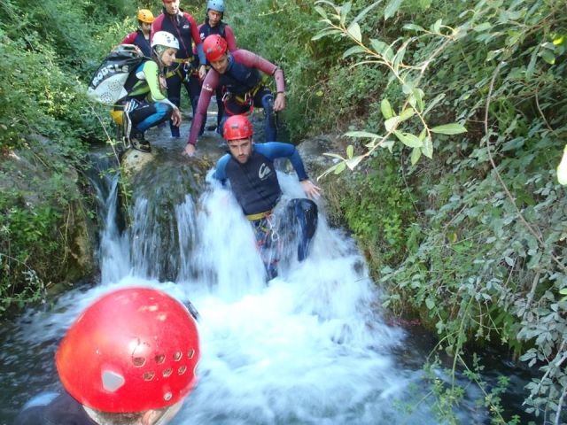  Saut