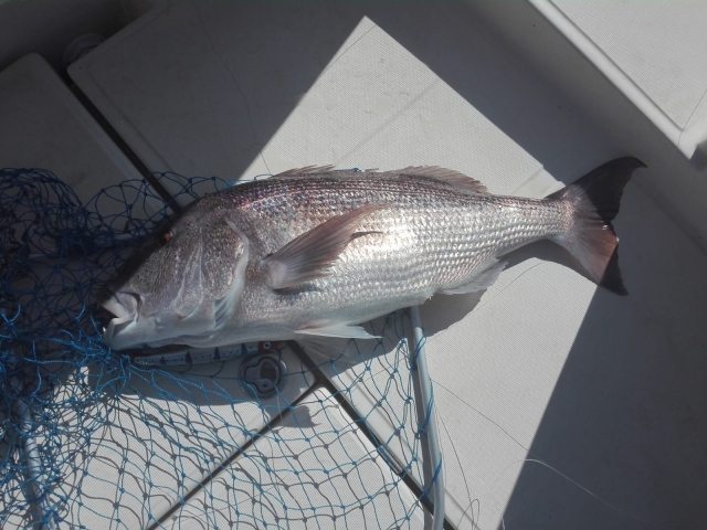  Fishing in Alicante 