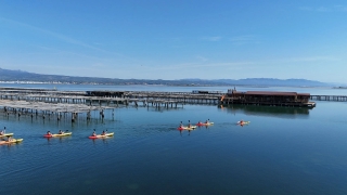 Ruta en canoa por la Bahía del Fangar, 2h30m