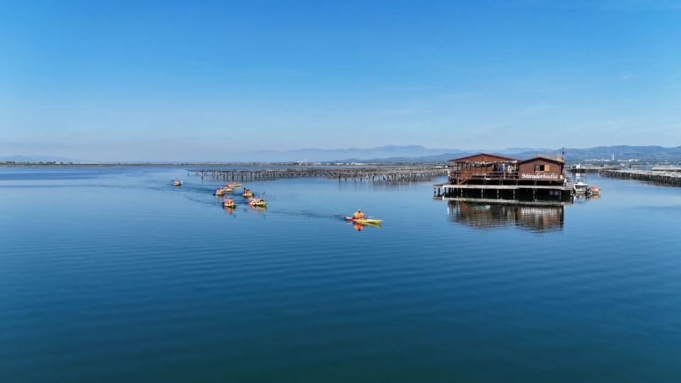 Experiencia en canoa por el Deltebre