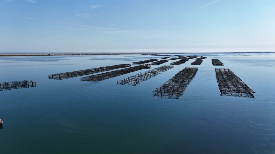 Conoce la desembocadura del Ebro