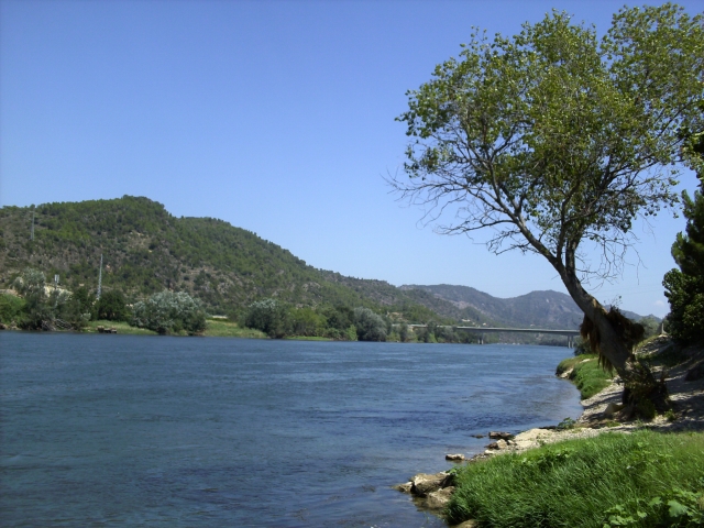 El Ebro en Benifallet