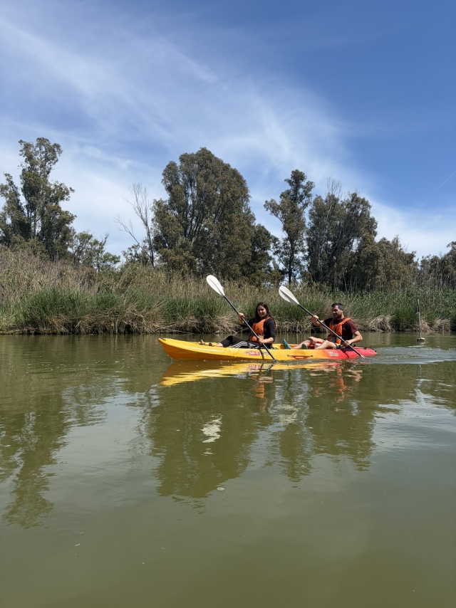  Descubra a fauna e a flora do Ebro de canoa 