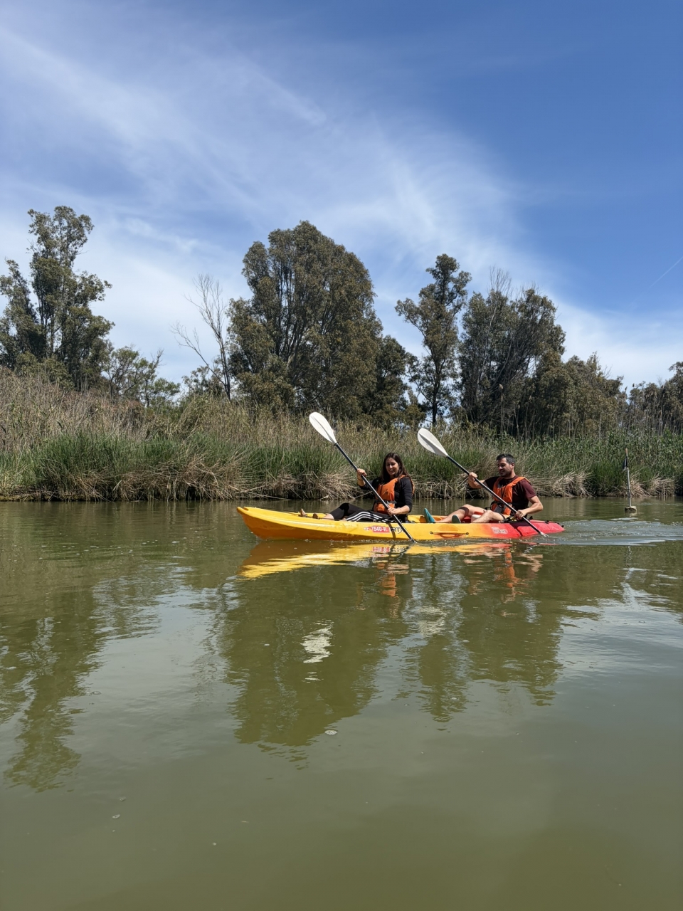  Descubra a fauna e a flora do Ebro de canoa 