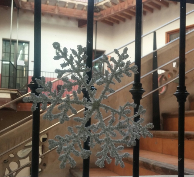  Patio through the fence 