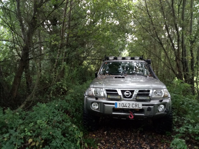  Durchqueren des Waldes im Geländewagen 