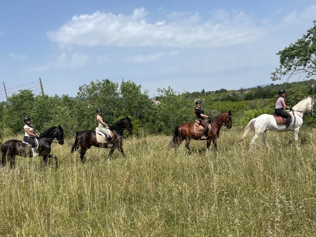 Paseo a caballo