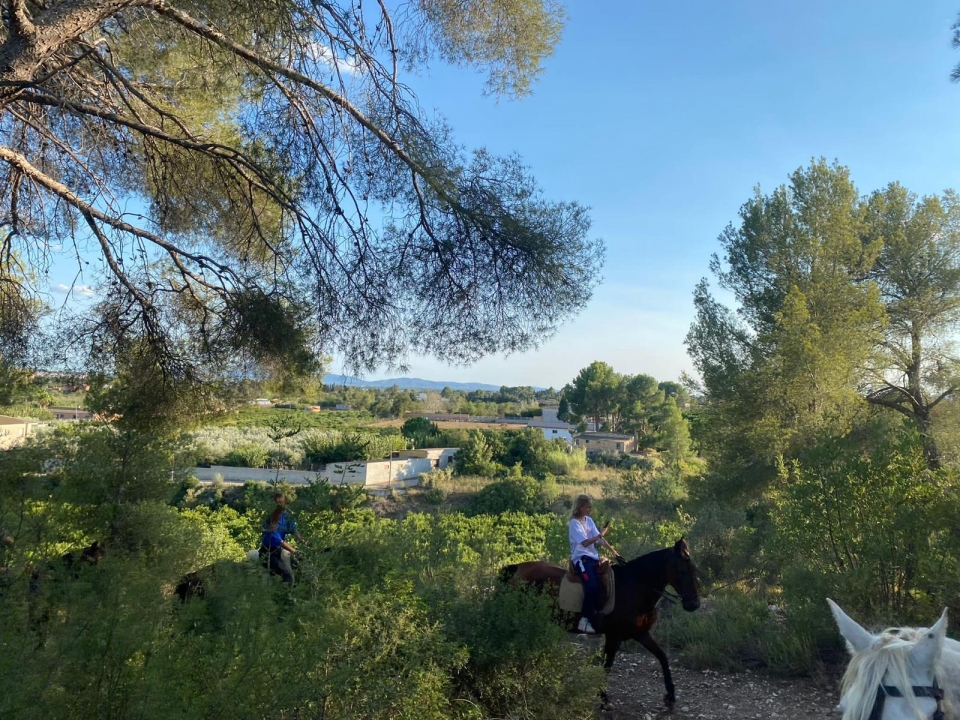A caballo en el Baix Ebre A caballo en el Baix Ebre