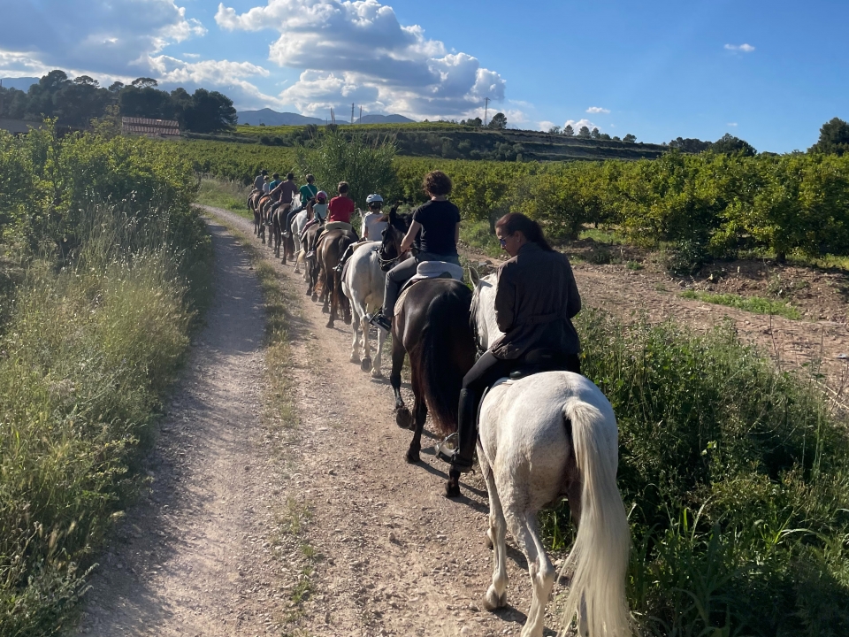 Montando a caballo por Tortosa Montando a caballo por Tortosa