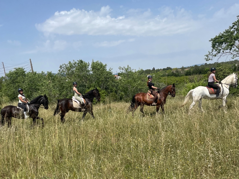 Paseo a caballo