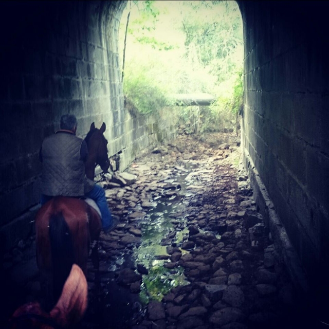  Attraversamento del tunnel a cavallo
