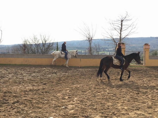  Passeggiata su pista 