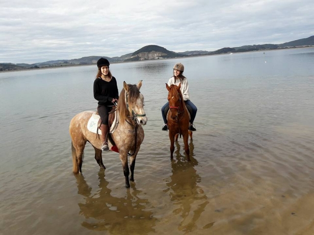 Caballos en el agua