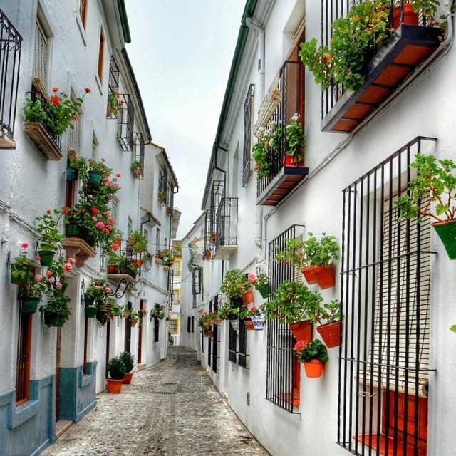 Recorriendo las calles