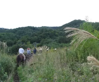 Équitation dans la Sierra de Cazorla 90 min