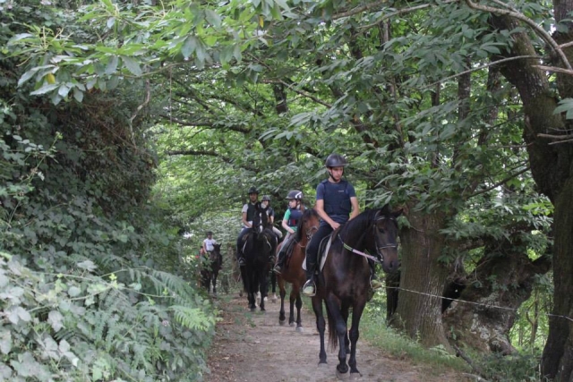  Reiten mit Freunden 