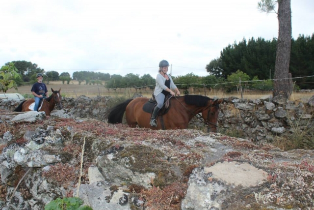  Reiten mit den Kleinen 
