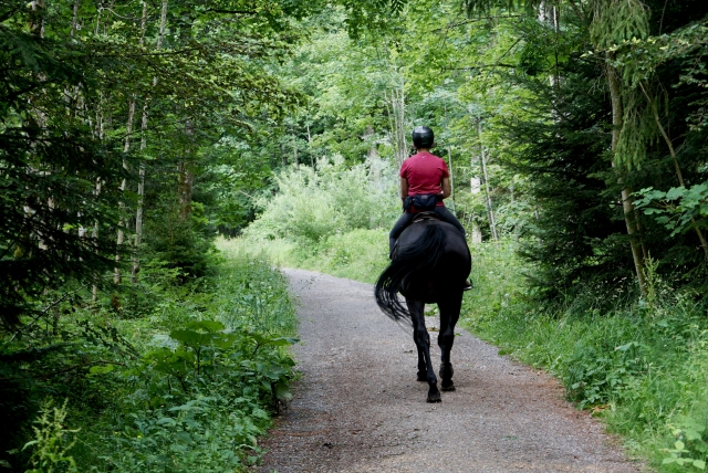  Una passeggiata a cavallo nei dintorni di Cordova