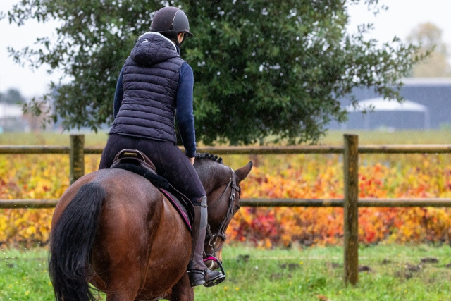  Godetevi una passeggiata a cavallo per Cordova 