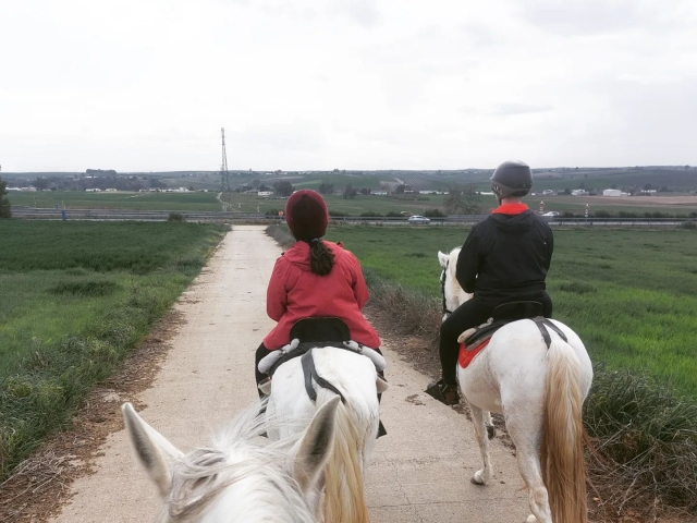 De ruta por el campo