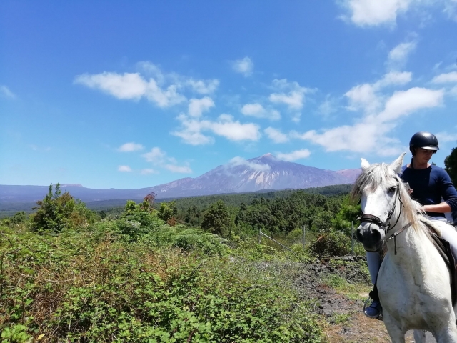  特内里费岛马术游览 