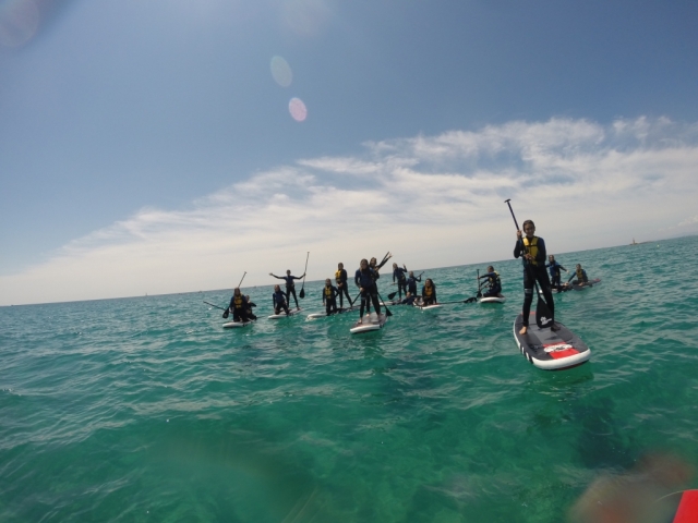 Renta en grupo de tablas de paddle board