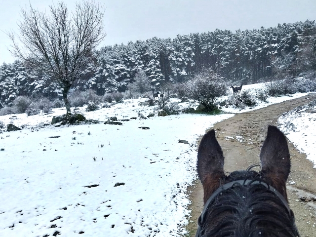  On horseback along snowy trails