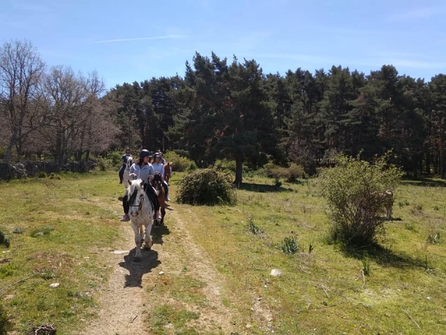 Paseo a caballo por la Canada real segoviana