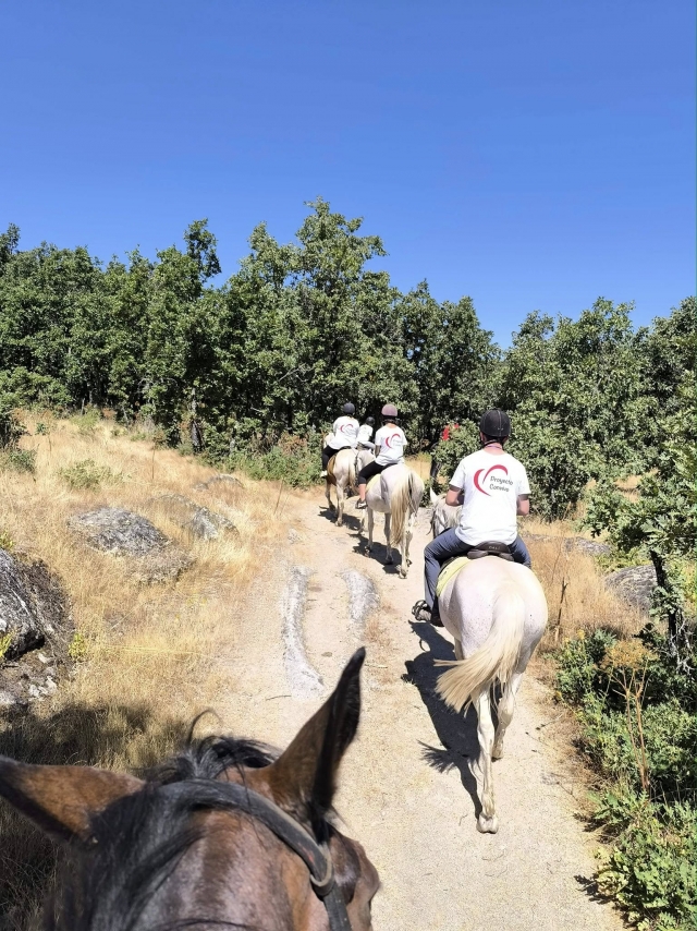  Horseback riding route through Segovia 
