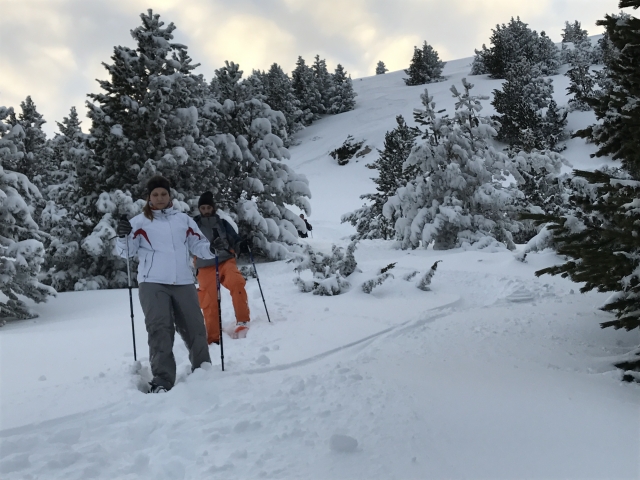  Walk through the snowy forests with snowshoes 