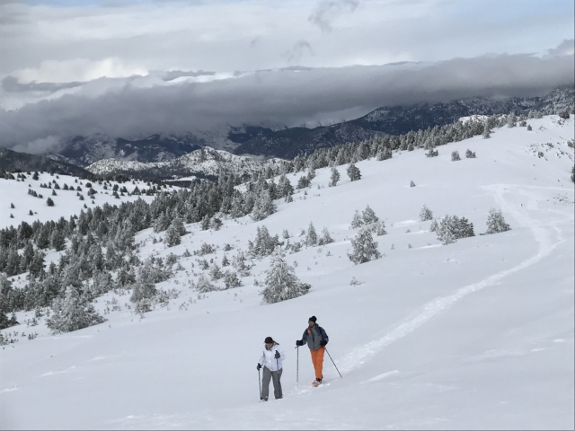  Snowy path of the Catalan Pyrenees 